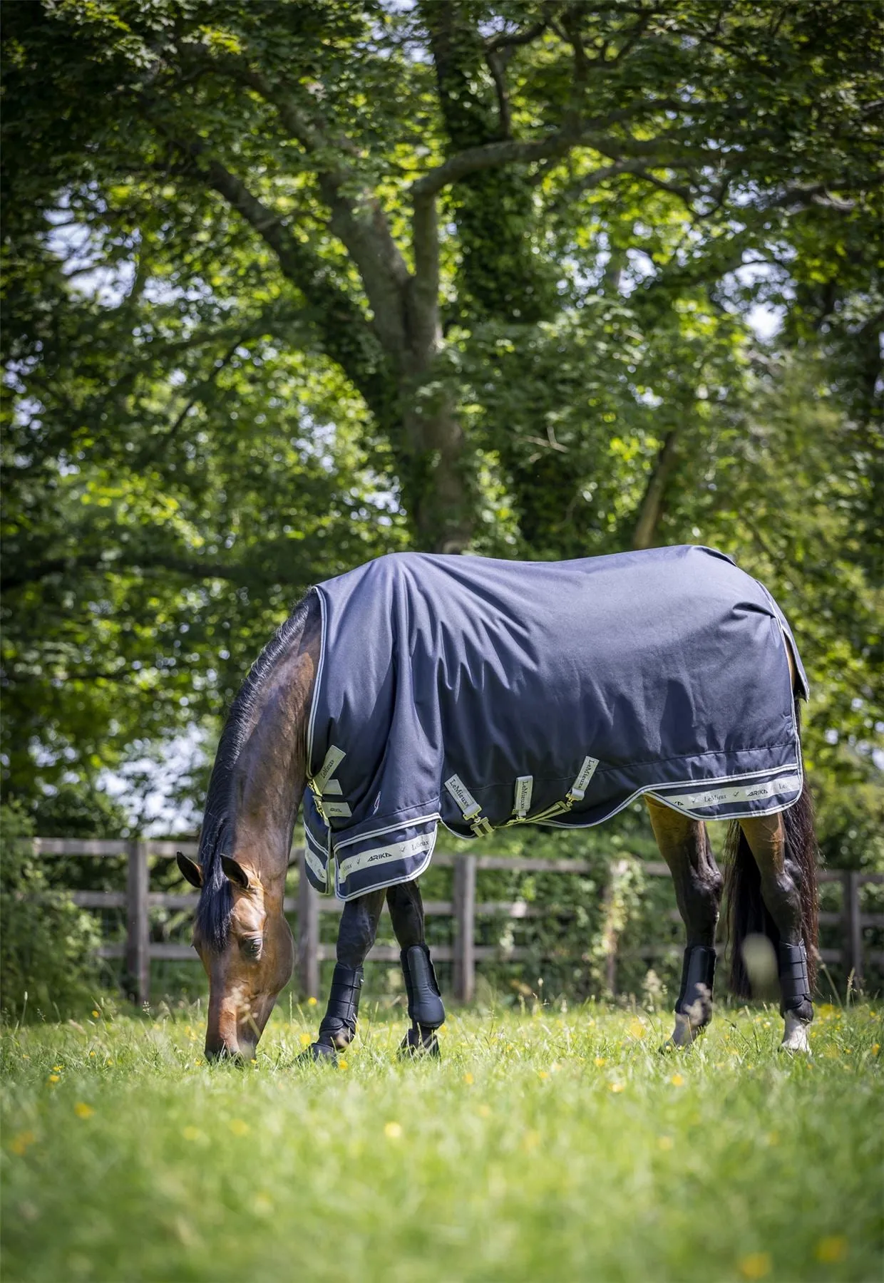 LeMieux Arika Storm-Tek Rug 200g