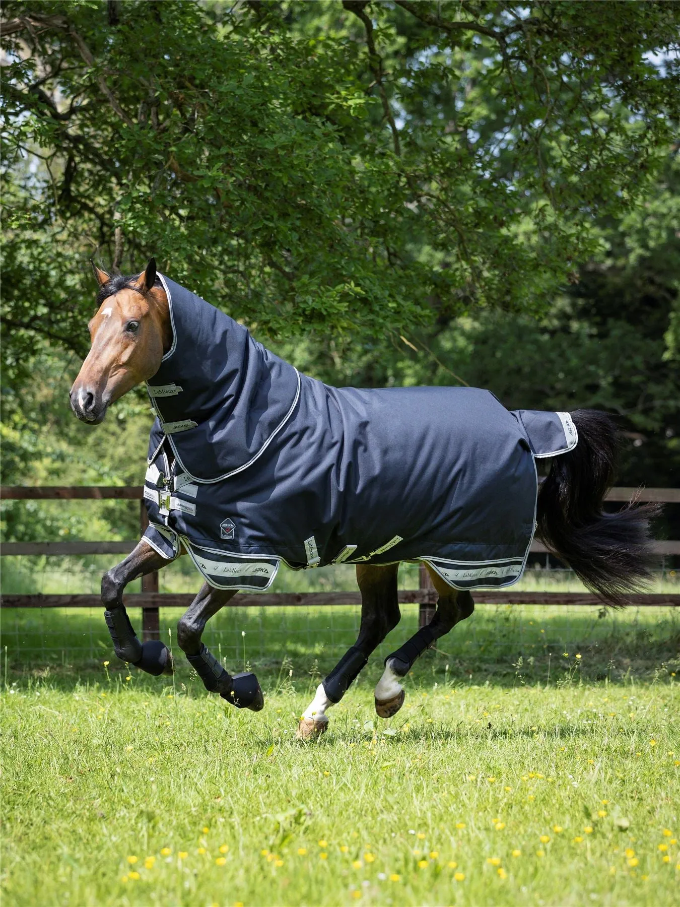 LeMieux Arika Storm-Tek Rug 200g